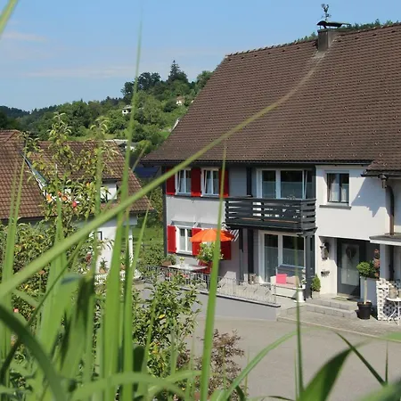 Apartamento Gaestehaus Mangold Fritsch Klaus (Vorarlberg)